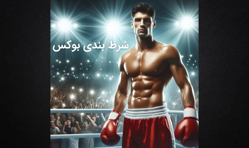 ورود به سایت شرط بندی بوکس + بررسی گزینه های پر سود